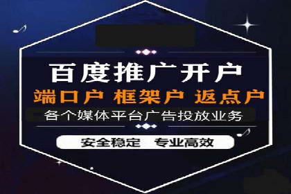 SEO与百度推广结合的营销策略——经典案例解析