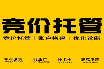 SEM账户托管助力企业市场拓展案例